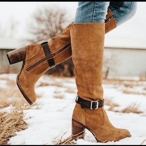 Freebird by Steven Holland